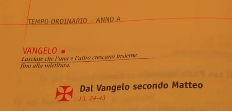 Vangelo di domenica 20 luglio 2014 – XVI del Tempo Ordinario