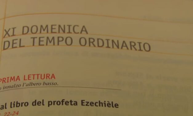 Vangelo di Domenica 14 giugno 2014 – XI Domenica del Tempo Ordinario