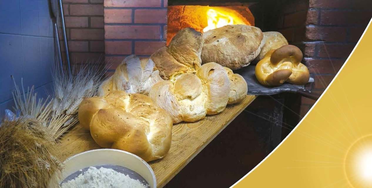 “Dalla terra e dal lavoro: pane per la vita”: Giornata nazionale del Ringraziamento