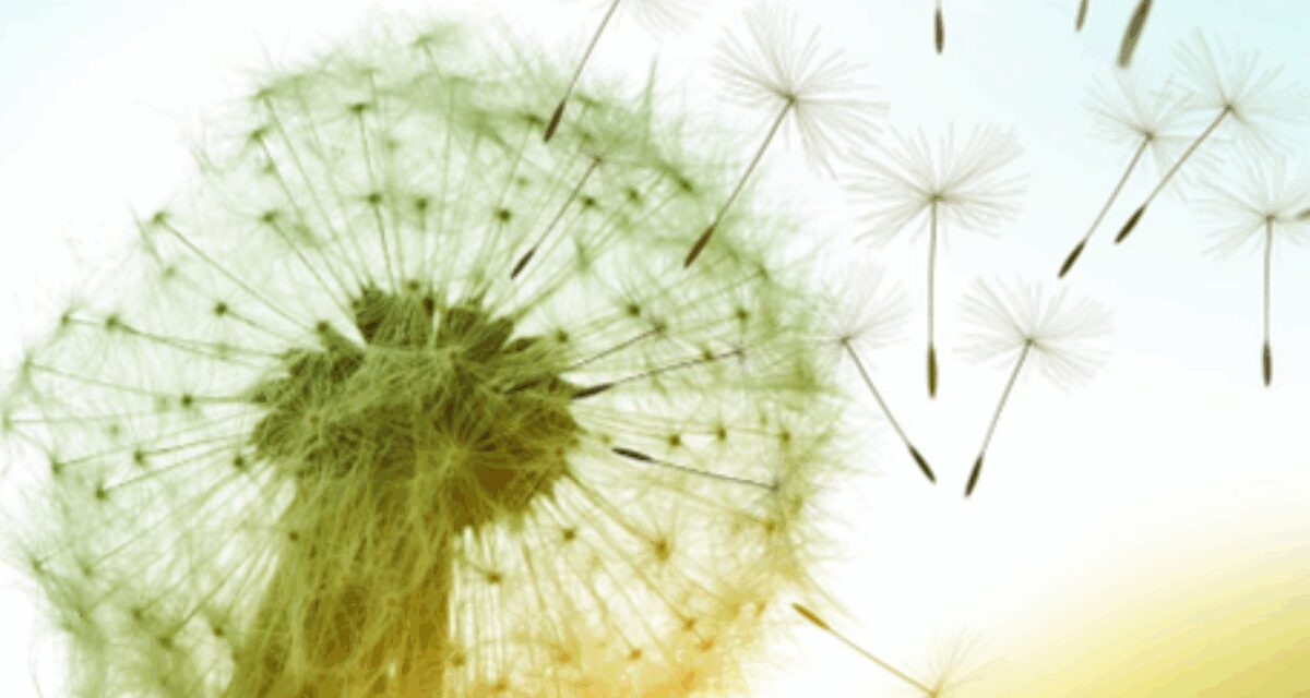 “SEMI DI PACE E DI SPERANZA”: MESE DEL CREATO