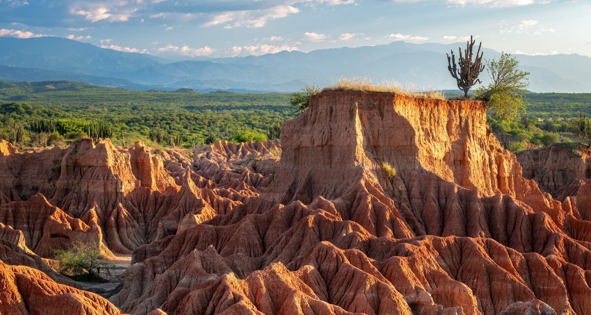 DOMENICA 22 FEBBRAIO