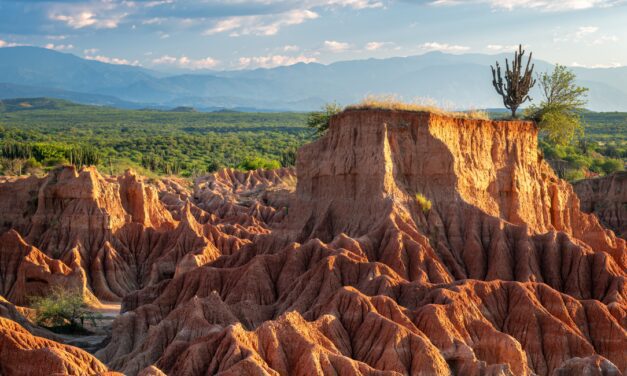 DOMENICA 22 FEBBRAIO